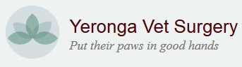 Annerley QLD VETS Brisbane