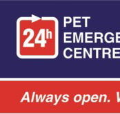 Animal Accident  Emergency - VETS Brisbane