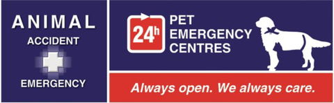 Animal Accident & Emergency - VETS Brisbane 0