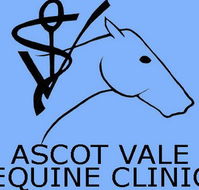Ascot Vale Equine Clinic - VETS Brisbane