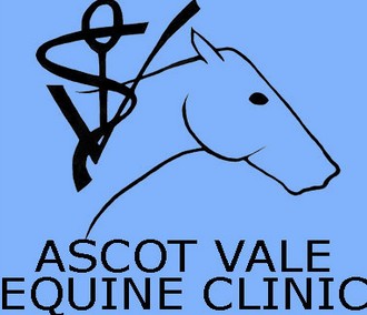 Ascot Vale Equine Clinic - VETS Brisbane 0