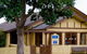 Balwyn Veterinary Surgery - thumb 1