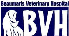  VETS Brisbane