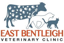 Black Rock And East Bentleigh Veterinary Clinics - VETS Brisbane 0
