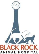 Black Rock Veterinary Clinic - VETS Brisbane 0