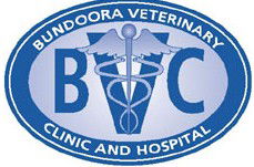 Bundoora Veterinary Clinic - VETS Brisbane 0