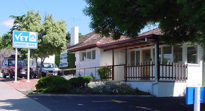 Bundoora Veterinary Clinic - VETS Brisbane 1