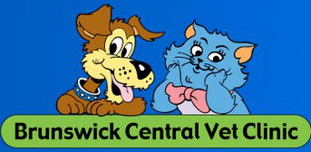Brunswick Central Vet Clinic - VETS Brisbane 0