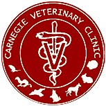 Carnegie Veterinary Clinic - VETS Brisbane 0