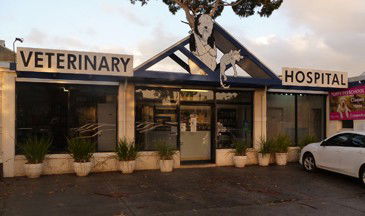 Central Veterinary Hospital Sandringham - VETS Brisbane 0