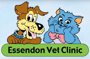 Essendon Veterinary Clinic - VETS Brisbane 0