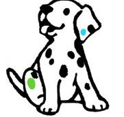 Four Paws Vets - Findon Vet Surgery - VETS Brisbane