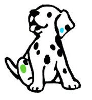 Four Paws Vets - Findon Vet Surgery