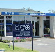 Greensborough Veterinary Hospital - VETS Brisbane
