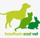 Hawthorn East Vet - VETS Brisbane