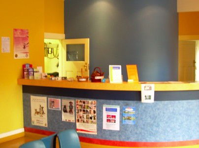 John The Vet - VETS Brisbane 1
