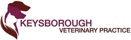 Keysborough Veterinary Practice - VETS Brisbane 0