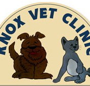 Knox Vet Clinic - VETS Brisbane