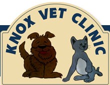 Knox Vet Clinic - VETS Brisbane 0
