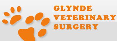 Glynde Veterinary Surgery - VETS Brisbane 0