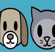 Mackie Family Veterinary Clinic - VETS Brisbane