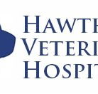 Hawthorn Veterinary Hospital - VETS Brisbane