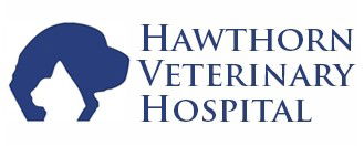 Hawthorn Veterinary Hospital - VETS Brisbane 0