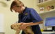Marion Small Animal Hospital - thumb 0