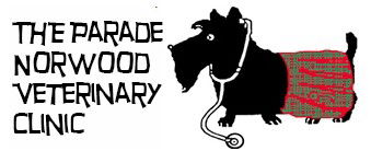 Parade Norwood Veterinary Clinic - VETS Brisbane 0