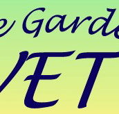 Parafield Garden Veterinary Clinic - VETS Brisbane