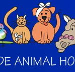 Prospect Road Veterinary Hospital - VETS Brisbane