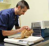 Seaford Vet Care - VETS Brisbane