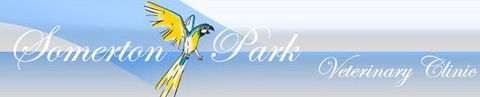 Somerton Park Veterinary Clinic - VETS Brisbane 0