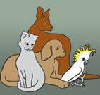 Southcoast Animal Hospital - VETS Brisbane