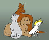 Southcoast Animal Hospital - VETS Brisbane 0