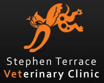 Stephen Terrace Veterinary Clinic - VETS Brisbane 0