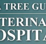 Tea Tree Gully Veterinary Hospital - VETS Brisbane