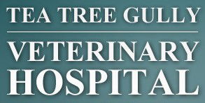 Tea Tree Gully Veterinary Hospital - VETS Brisbane 0