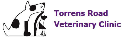 Torrens Road Veterinary Clinic - VETS Brisbane 0