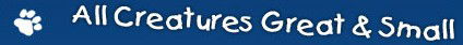 All Creatures Great & Small Vet Centre - VETS Brisbane 0