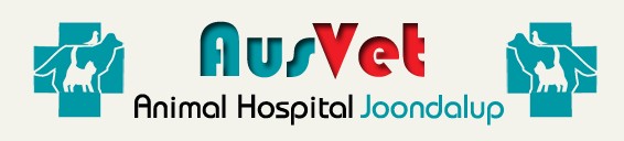 Neerabup WA VETS Brisbane