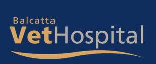 Balcatta Veterinary Hospital - VETS Brisbane 0
