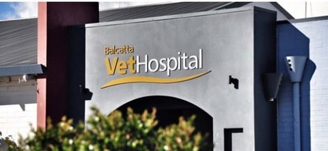 Balcatta Veterinary Hospital - VETS Brisbane 1