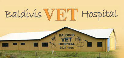 Baldivis Vet Hospital - VETS Brisbane 0