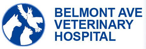 Belmont Avenue Veterinary Hospital - VETS Brisbane 0
