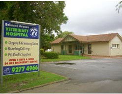Belmont Avenue Veterinary Hospital - VETS Brisbane 1