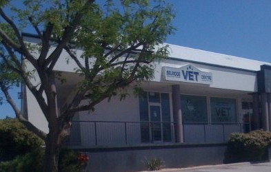 Beldon WA VETS Brisbane