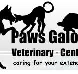 Paws Galore Veterinary Centre - VETS Brisbane