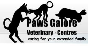 Paws Galore Veterinary Centre - VETS Brisbane 0