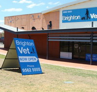 Brighton Vet - VETS Brisbane